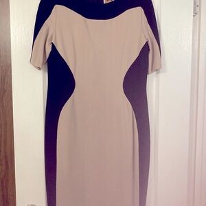 Brand new dress with back zipper with tag